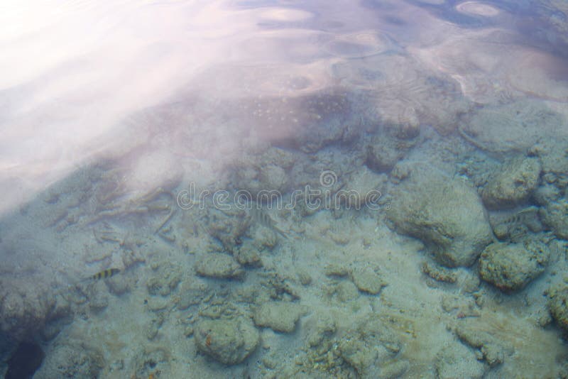 Abstrakcjonistyczni Podwodni kamienie z Jaskrawym światłem na powierzchni Aqua i Morska nauka - Abstrakcjonistyczny Naturalny tło obraz stock Abstrakcjonistyczni Podwodni kamienie z Jaskrawym światłem na powierzchni Aqua i Morska nauka - Abstrakcjonistyczny Naturalny tło obraz stock