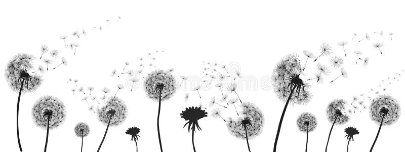 Abstrakcjonistyczny czarny dandelion, dandelion z lataniem sia ilustrację