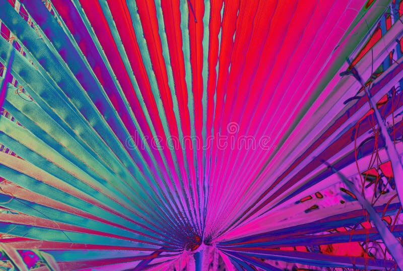 Abstrakcjonistyczny Neonowy Kwiecisty tło zdjęcie stock Abstrakcjonistyczny Neonowy Kwiecisty tło zdjęcie stock