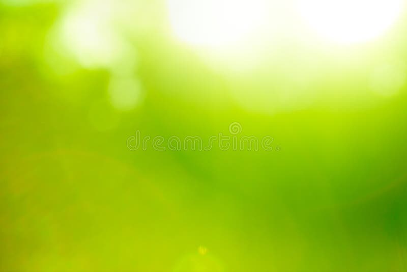 Abstrakt bakgrundsgreennatur royaltyfria bilder