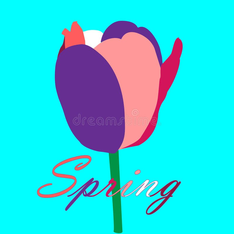 Abstrakt coloured tulipanowym na turkusowym tle, wiosny pocztówka z abstraktem coloured pojedynczego tulipanu i listów ilustracja wektor Abstrakt coloured tulipanowym na turkusowym tle, wiosny pocztówka z abstraktem coloured pojedynczego tulipanu i listów ilustracja wektor