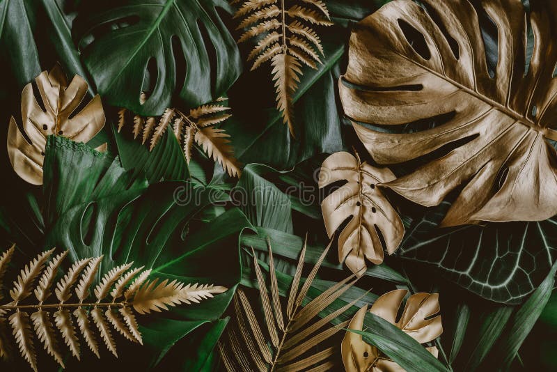 Abstrakt grön lövtextur naturen tropiska blad arkivfoto