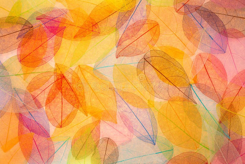 Abstract autumn background. Beautiful leaves texture. Abstract autumn background. Beautiful leaves texture
