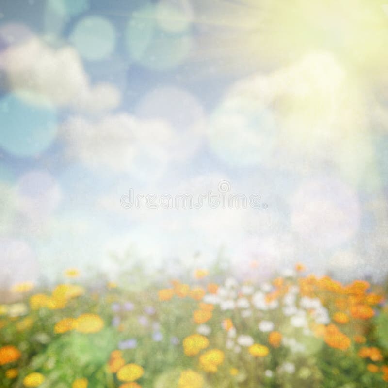 Abstract nature background with flower field. Abstract nature background with flower field