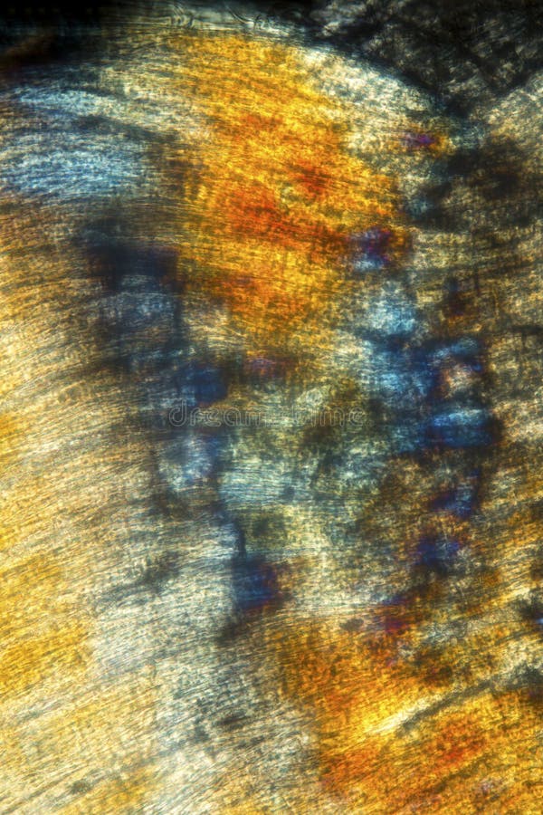 Abstrakt, polaryzacyjny micrograph mięsień od earthworm obraz stock Abstrakt, polaryzacyjny micrograph mięsień od earthworm obraz stock