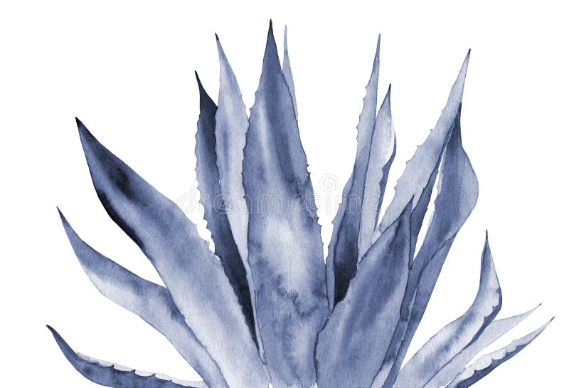 Abstrakta blå blad. plåga. vattenfärgsillustration isolerad på vit bakgrund. stock illustrationer