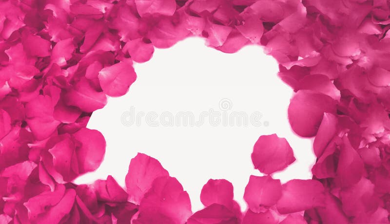 Abstrakta rosa Rose Petals, som ramen använde, som mallen med mjuk fokusfärg filtrerade bakgrund arkivbild Abstrakta rosa Rose Petals, som ramen använde, som mallen med mjuk fokusfärg filtrerade bakgrund arkivbild
