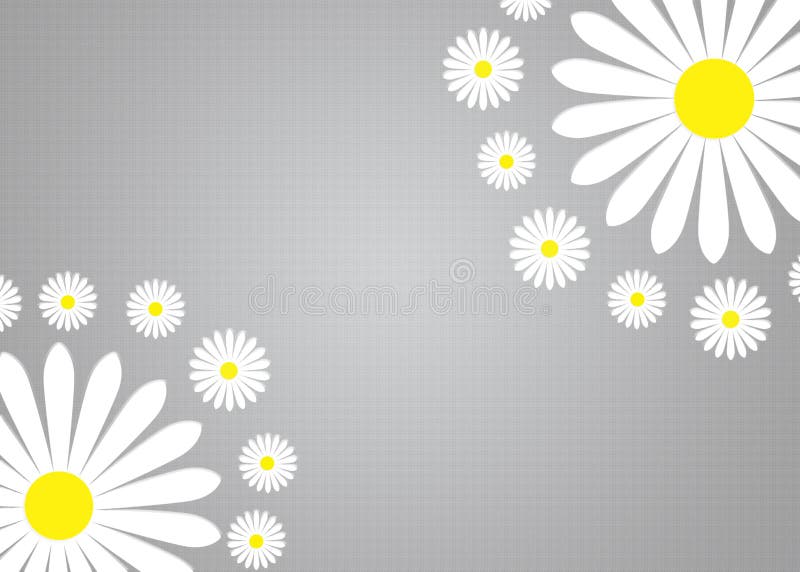 Abstrakta vita Daisy Flowers i Gradated och texturerade Grey Background fotografering för bildbyråer Abstrakta vita Daisy Flowers i Gradated och texturerade Grey Background fotografering för bildbyråer