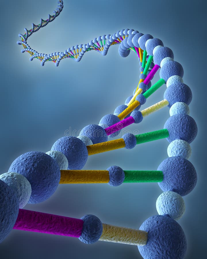 Abstrakte DNA-Ketten vektor abbildung Abstrakte DNA-Ketten vektor abbildung