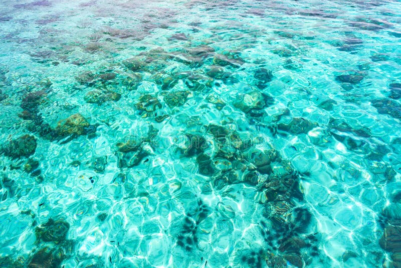 Abstrakte Vogelperspektive des transparenten blauen Ozean-Wassers stockbilder