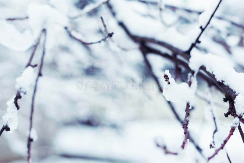 Abstrakter Hintergrund des Winters stockfotografie Abstrakter Hintergrund des Winters stockfotografie