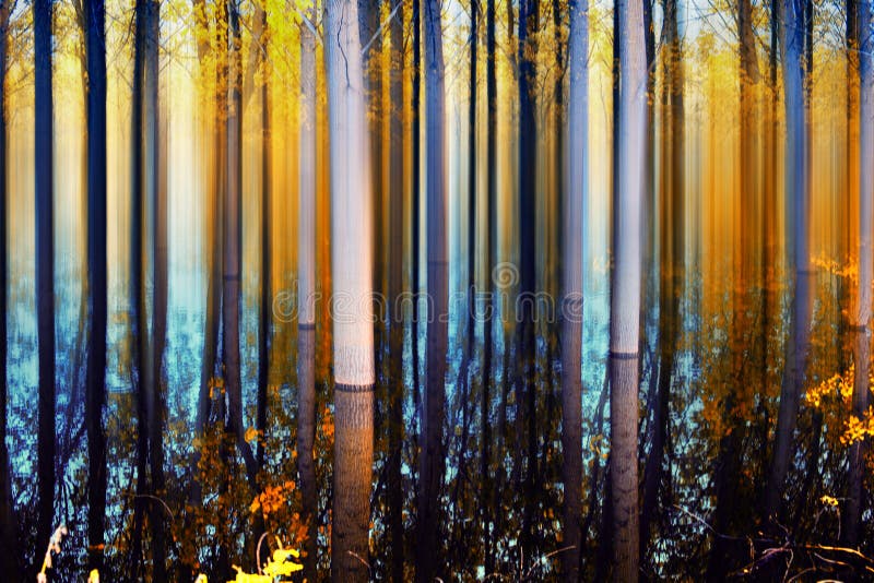 Abstrakter Wald in der Herbstzeit Abstrakter Wald in der Herbstzeit