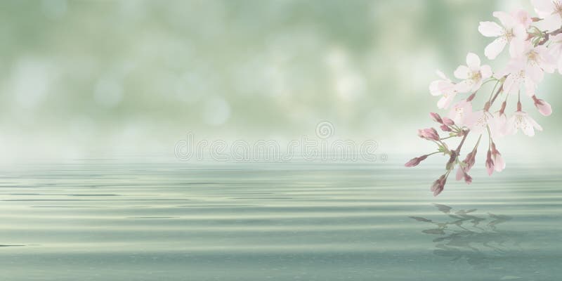 Abstraktes Bokeh-Hintergrund-Wasser mit Blättern und Blumen von der Blütenanlage lizenzfreie stockfotografie