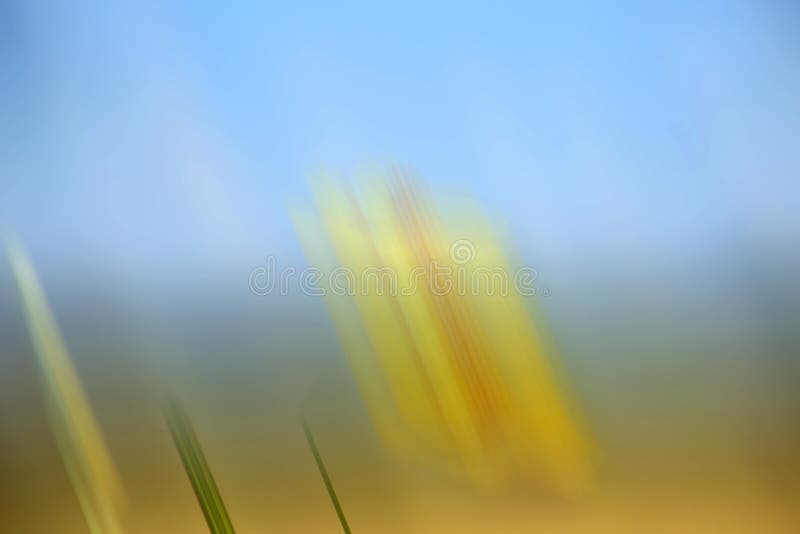 Abstrato com fundo desfocado foto de stock