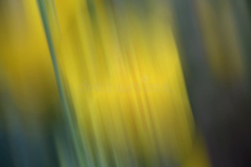 Abstrato com fundo desfocado foto de stock royalty free