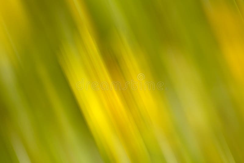 Abstrato com fundo desfocado fotografia de stock royalty free