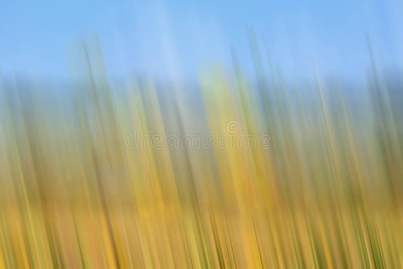 Abstrato com fundo desfocado fotos de stock royalty free