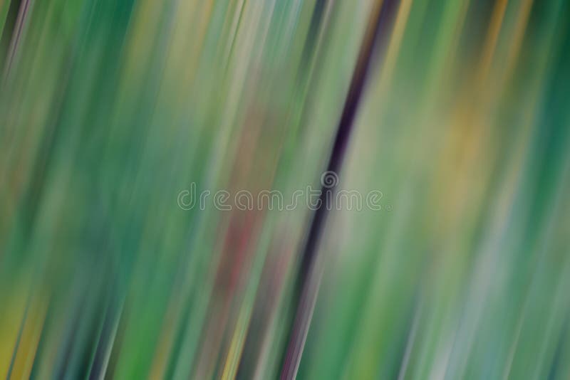 Abstrato com fundo desfocado fotografia de stock royalty free