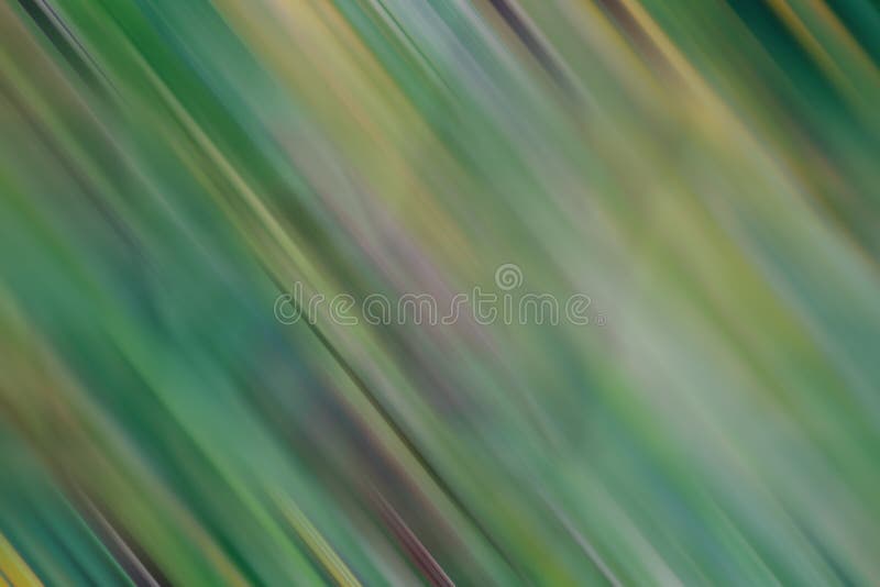 Abstrato com fundo desfocado foto de stock royalty free
