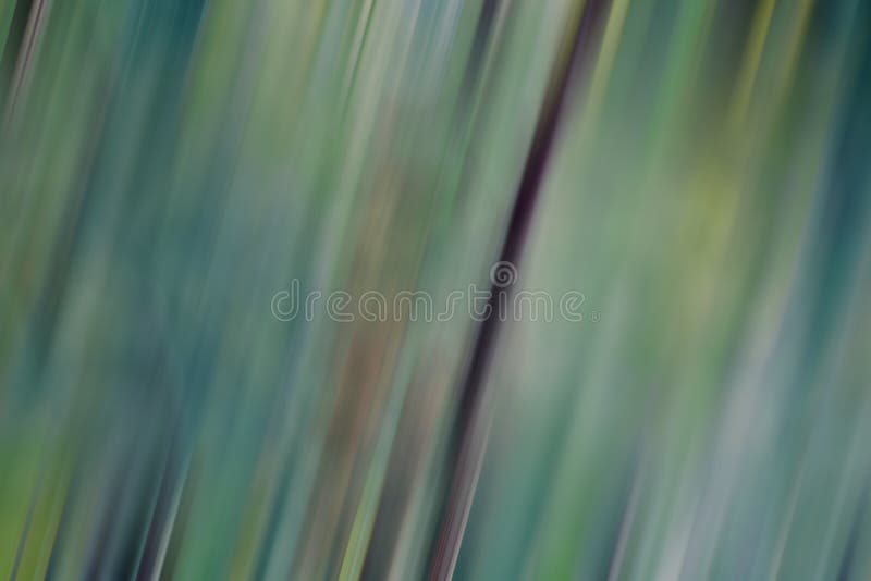 Abstrato com fundo desfocado imagens de stock royalty free