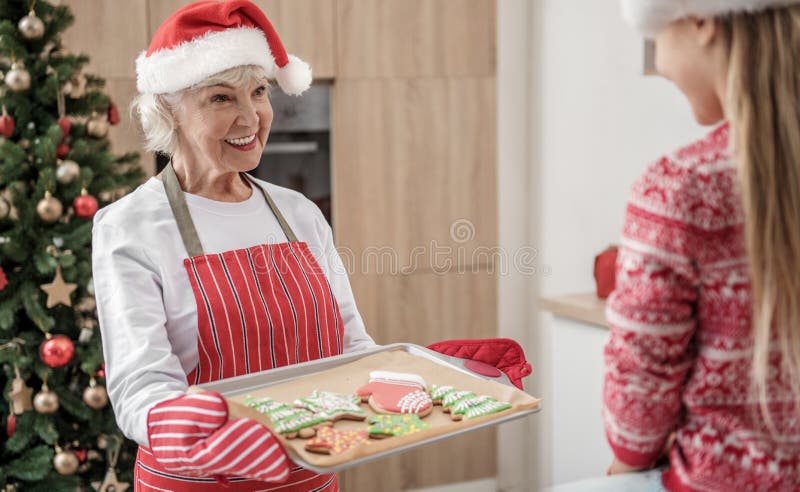 Abuela abundante que da a los pasteles hecho a sí mismos del día de fiesta del niño imágenes de archivo libres de regalías Abuela abundante que da a los pasteles hecho a sí mismos del día de fiesta del niño imágenes de archivo libres de regalías