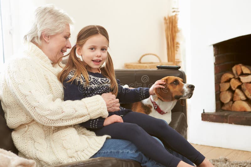 Abuela y nieta que se relajan en casa con el perro casero imagen de archivo Abuela y nieta que se relajan en casa con el perro casero imagen de archivo