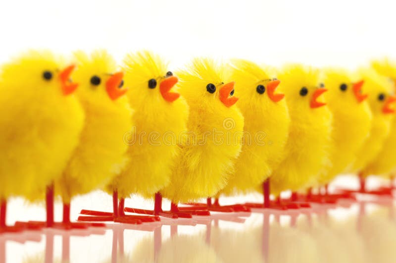 Abundance of easter chicks, selective focus stock images Abundance of easter chicks, selective focus stock images