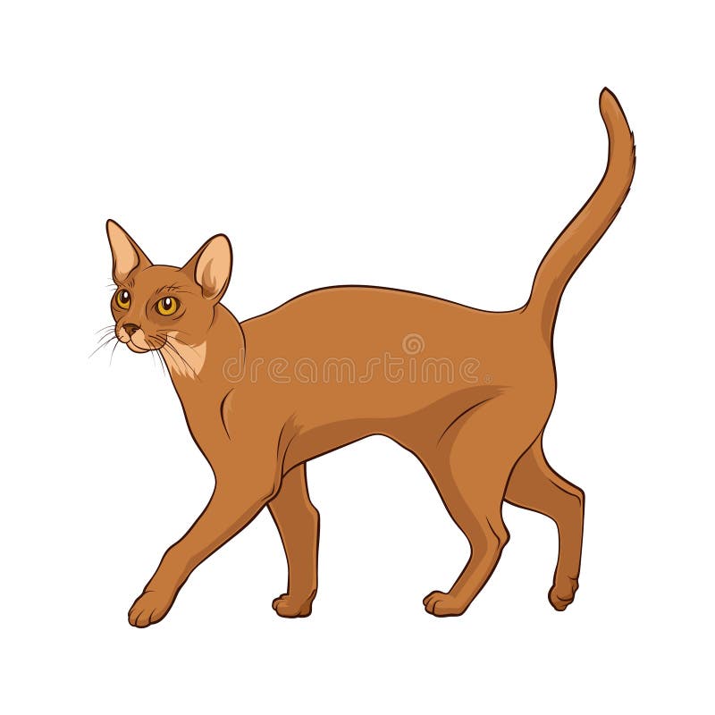 Pixel Art Vector Abyssinian Cat Icon Isolated On White Background Stock  Illustration - Download Image Now - iStock