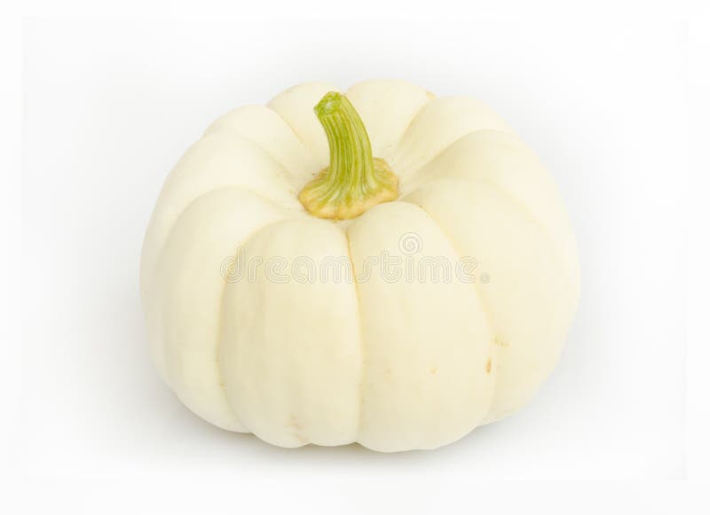 Abóbora. foto de stock Abóbora. foto de stock