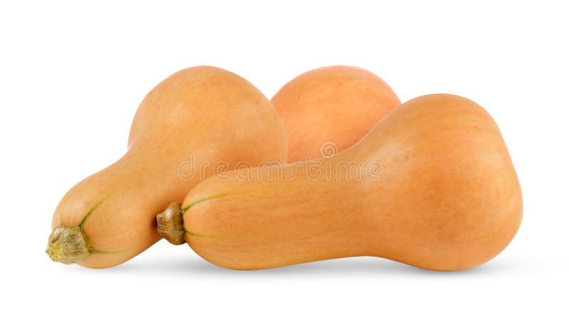 Abóbora de borboleta em branco fotos de stock