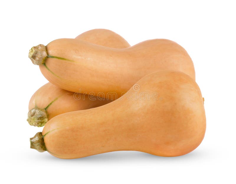 Abóbora de borboleta em branco foto de stock