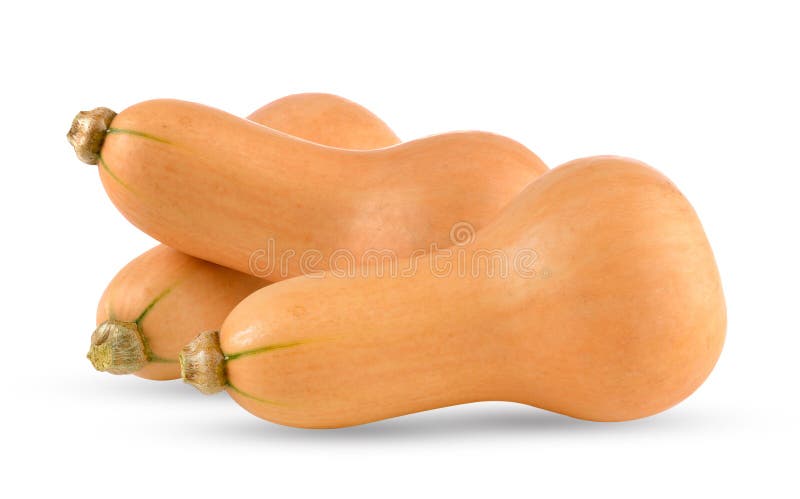 Abóbora de borboleta em branco fotos de stock royalty free