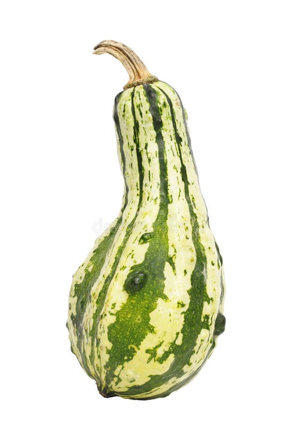 Abóbora Pear-shaped imagens de stock