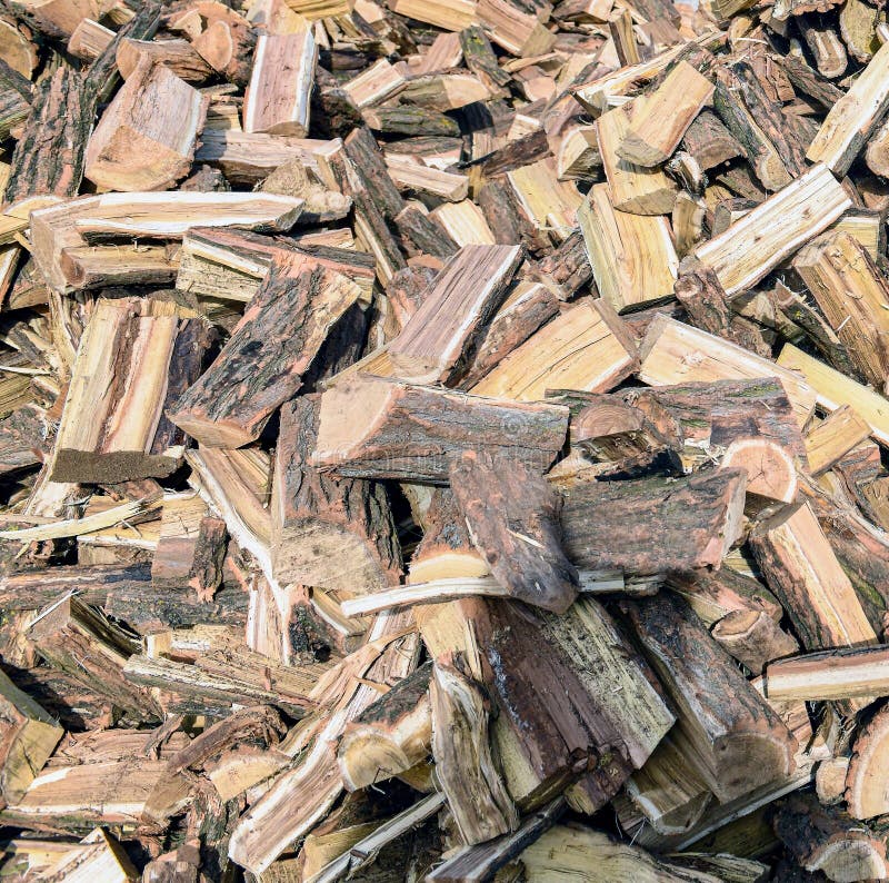 Acacia Firewood for Heating in the Winter Stock Image Image of wood