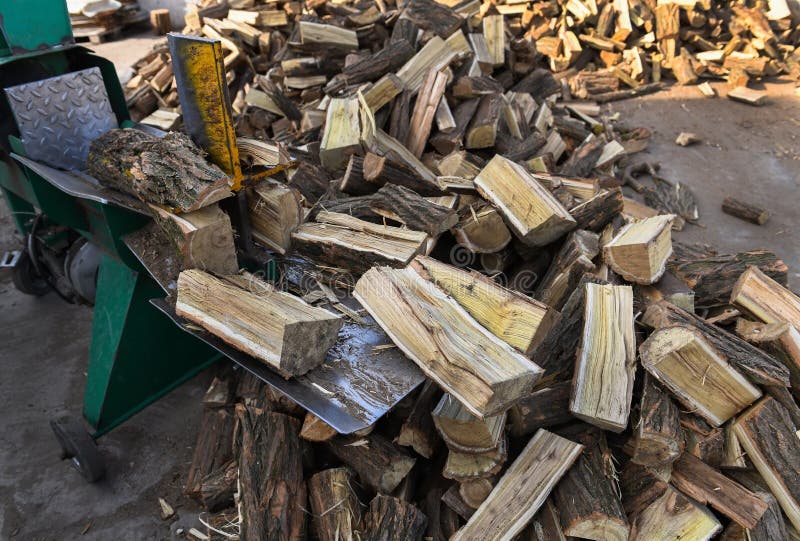 Acacia Firewood for Heating in the Winter Stock Photo Image of machinery, people 260347680