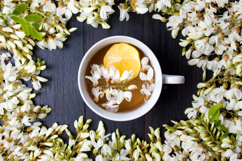 Acacia Herbal Tea and Flowers Stock Photo Image of organic, color