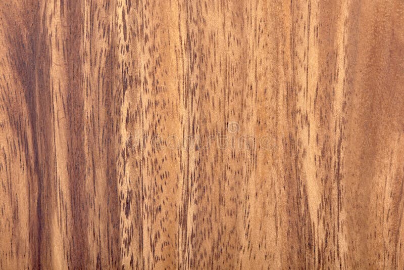 5 513 Acacia Wood Photos Free Royalty Free Stock Photos From Dreamstime