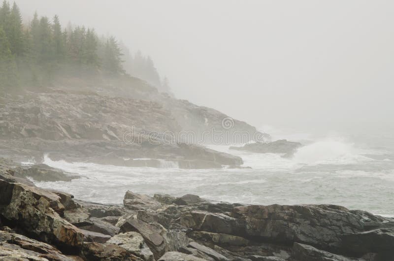 View of Rocky coast and Atlantic Ocean on Great Head Trail on foggy autumn dayl in Acadia National park on Bar Harbor, Maine. On Mount Desert Island. View of Rocky coast and Atlantic Ocean on Great Head Trail on foggy autumn dayl in Acadia National park on Bar Harbor, Maine. On Mount Desert Island.