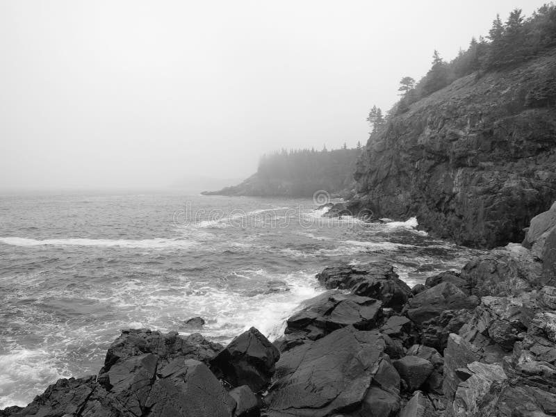 Acadian Coast Picture. Image 5549212