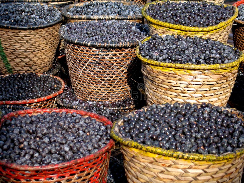 Acai in baskets. Acai seeds in baskets - Amazonia - Brazil Acai in baskets. Acai seeds in baskets - Amazonia - Brazil