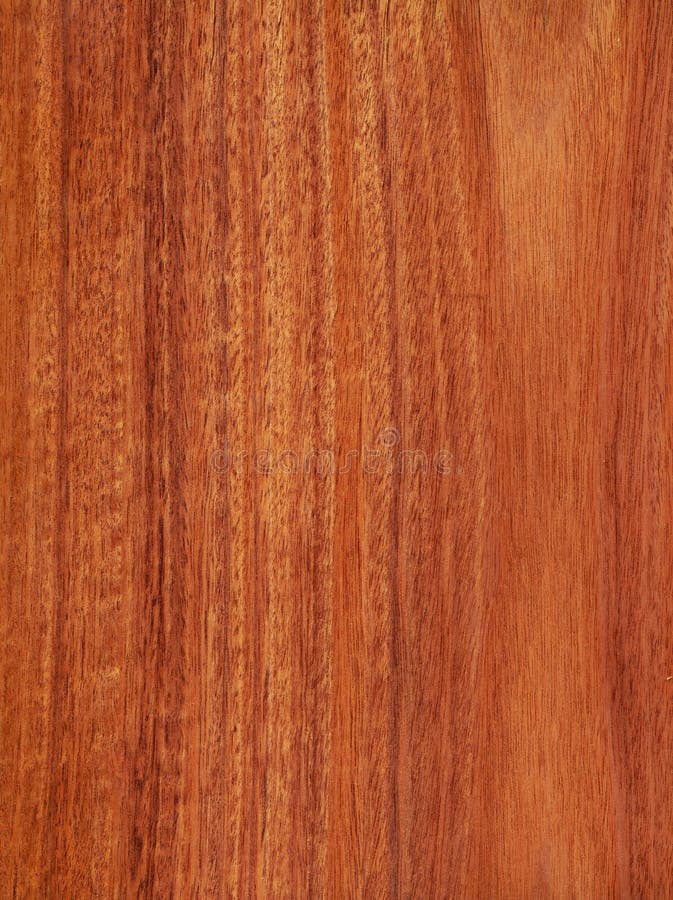 Acajou De Cerise (texture En Bois) Image stock Image du matériau, closeup 23701151