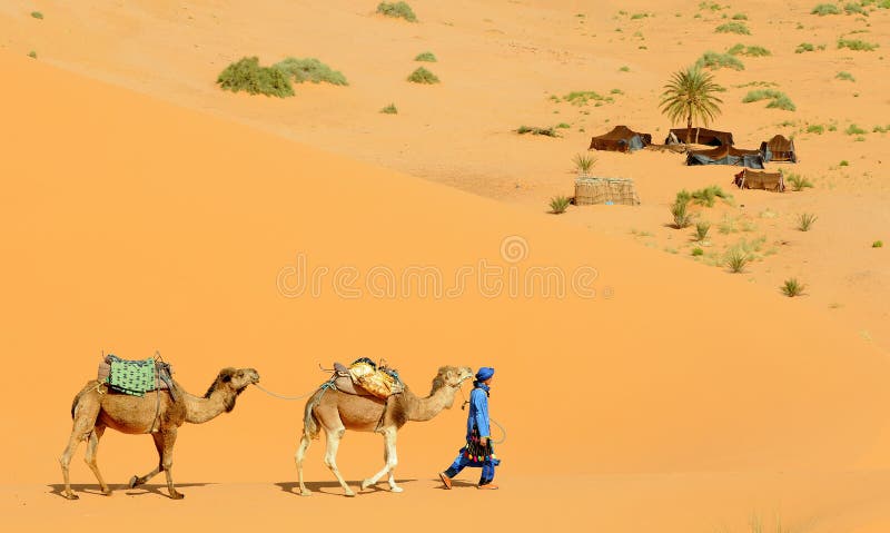 Acampamento do deserto