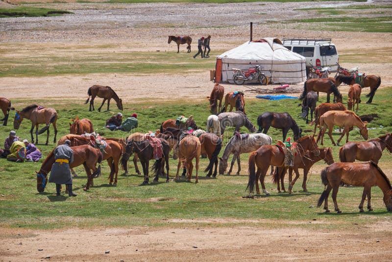 Acampamento Mongolian do nômadas Cavalos e carro perto do yurt mongolian tradicional foto de stock Acampamento Mongolian do nômadas Cavalos e carro perto do yurt mongolian tradicional foto de stock