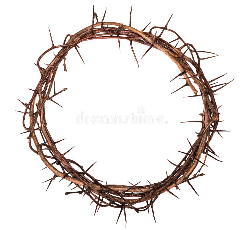 Crown of thorns Jesus Christ isolaten on white. Crown of thorns Jesus Christ isolaten on white