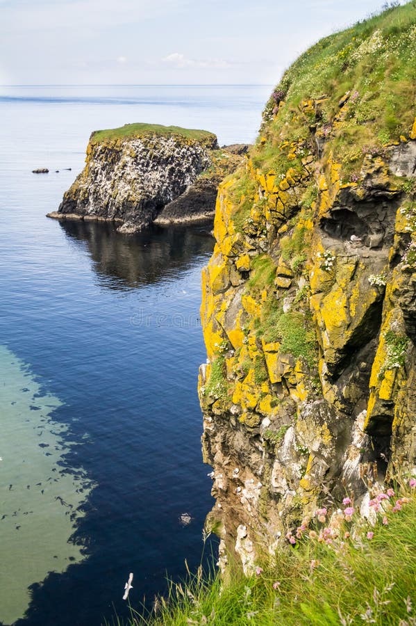 Acantilados escarpados y una pequeña isla de la costa del norte de Antrim, Irlanda del Norte fotos de archivo libres de regalías Acantilados escarpados y una pequeña isla de la costa del norte de Antrim, Irlanda del Norte fotos de archivo libres de regalías