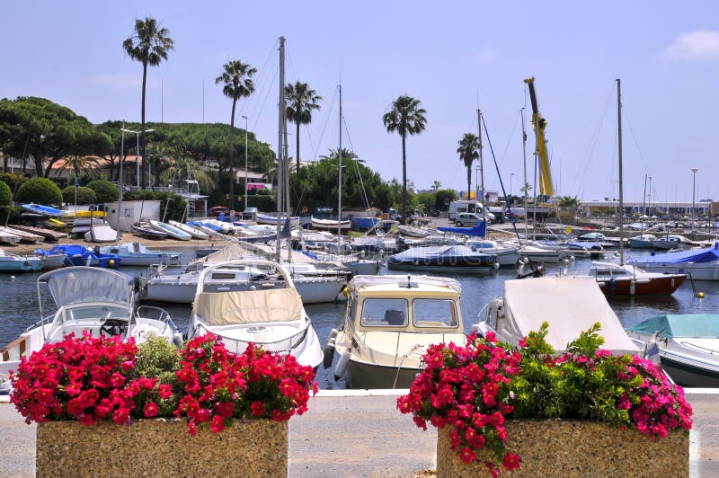 Port handiplage at cannes in France with red petunia flowers in the foreground. Port handiplage at cannes in France with red petunia flowers in the foreground