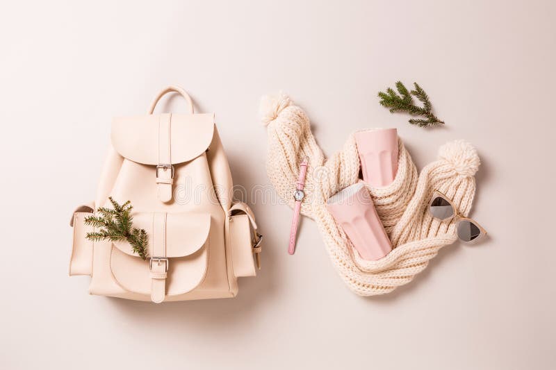 Accessoires de mode d'hiver ou d'automne - cadeaux de Noël image stock