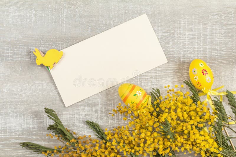 Accessoires de Pâques, mimosa et jonquilles jaunes sur un woode léger photos libres de droits Accessoires de Pâques, mimosa et jonquilles jaunes sur un woode léger photos libres de droits