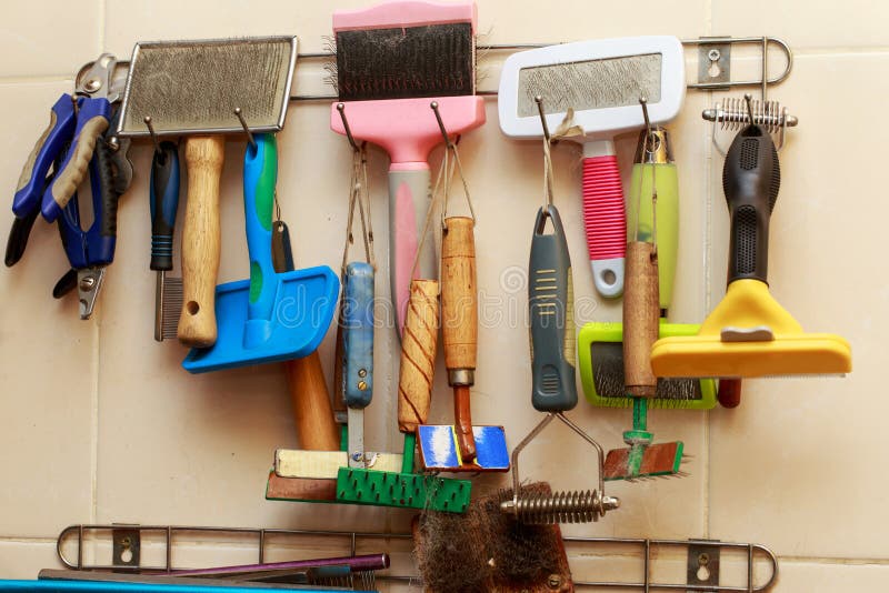 Accessories for the Grooming Stock Image Image of comb, hygiene 112355265
