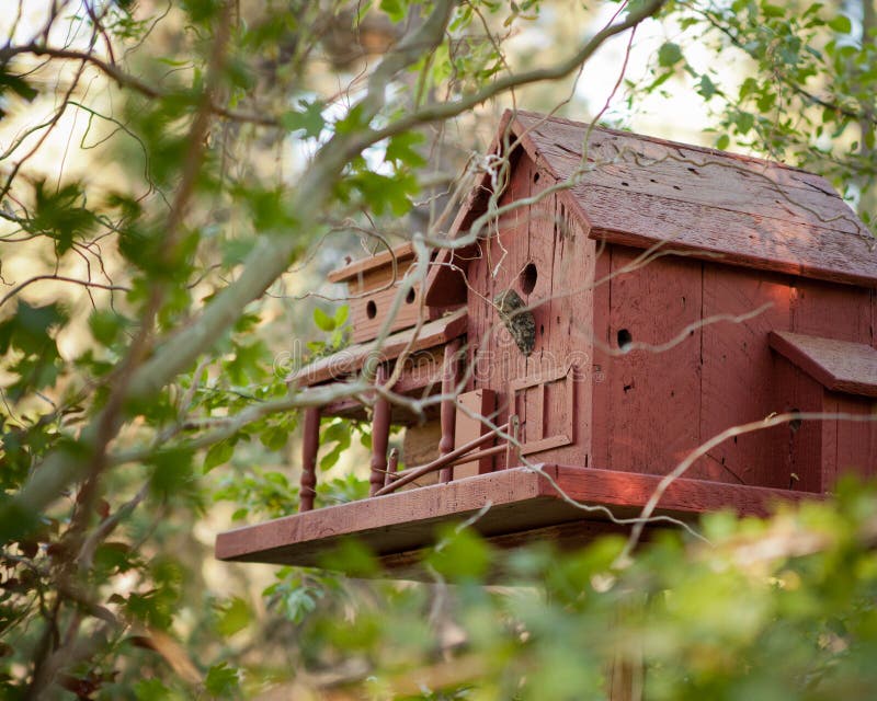 Accoccolato negli alberi una casa marrone dell'uccello di due storie fatta da legno immagine stock libera da diritti Accoccolato negli alberi una casa marrone dell'uccello di due storie fatta da legno immagine stock libera da diritti